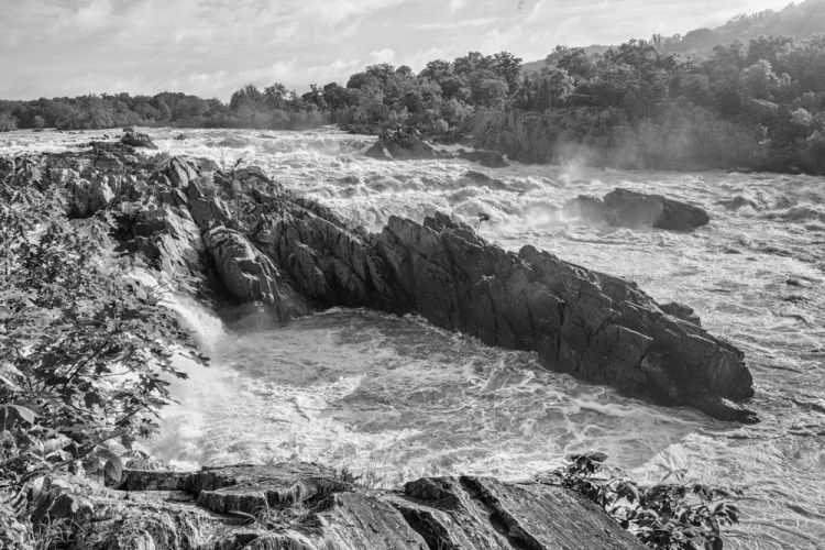 ISO 100 | f/11 | 1/320 | 35mm