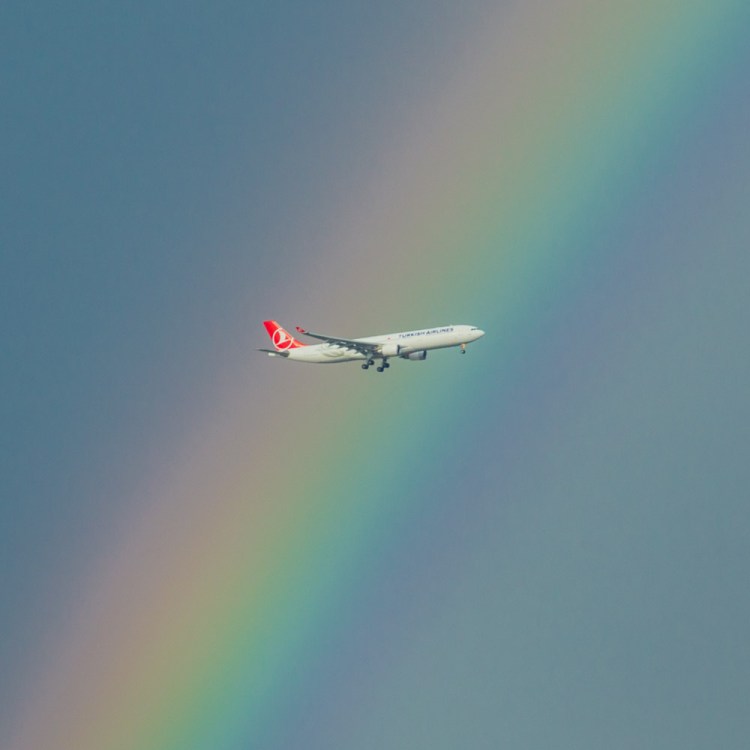 ISO 400 | f/8 | 1/320 | 200mm