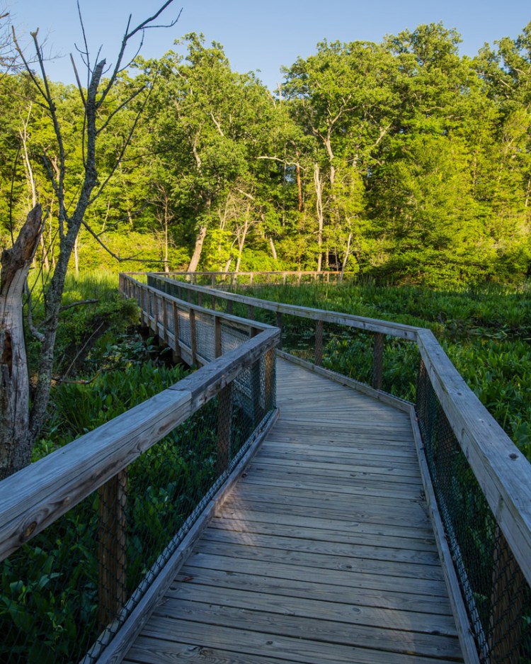 ISO 400 | f/8 | 1/2500 | 24mm