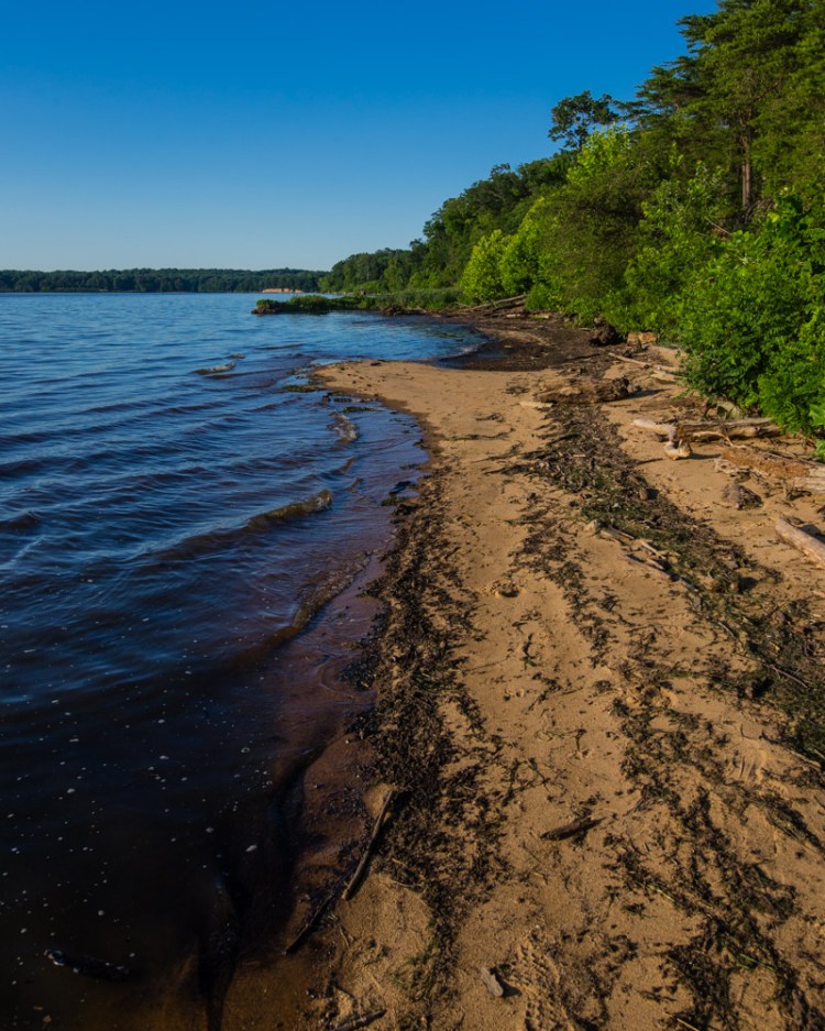 ISO 400 | f/8 | 1/640 | 24mm