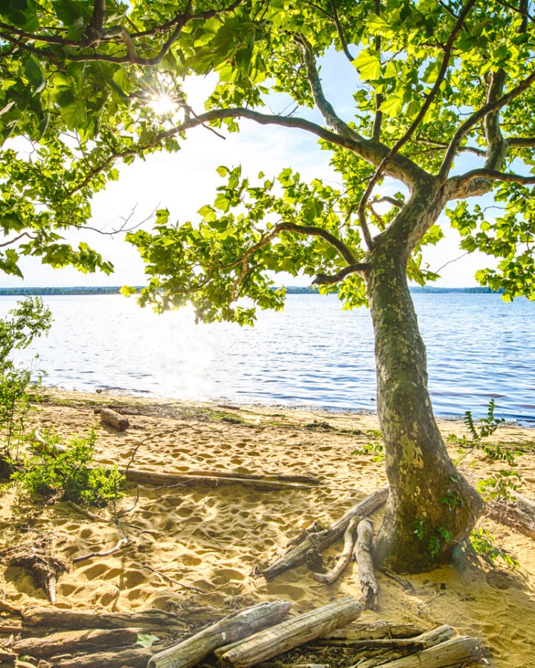 ISO 100 | f/16 | 1/80, 1/320, 1/20 | 24mm