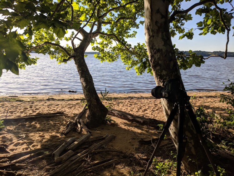 Mason Neck (16 of 17).jpg