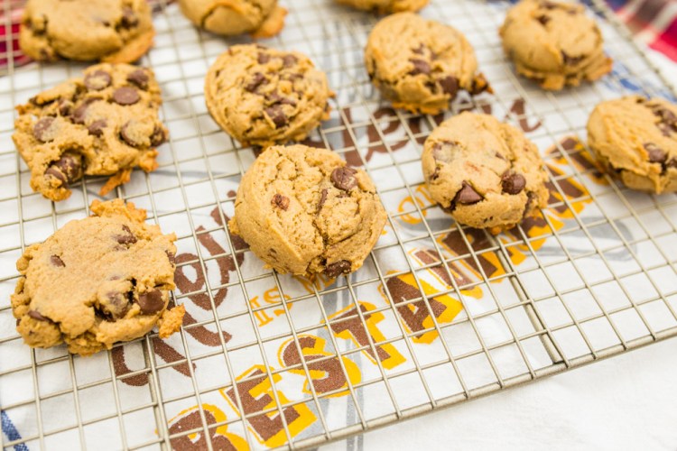 ISO 800 | f/4 | 1/125 | 35mm