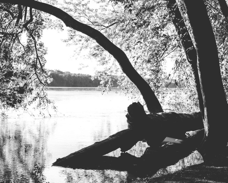 ISO 400 | f/8 | 1/200 | 70mm