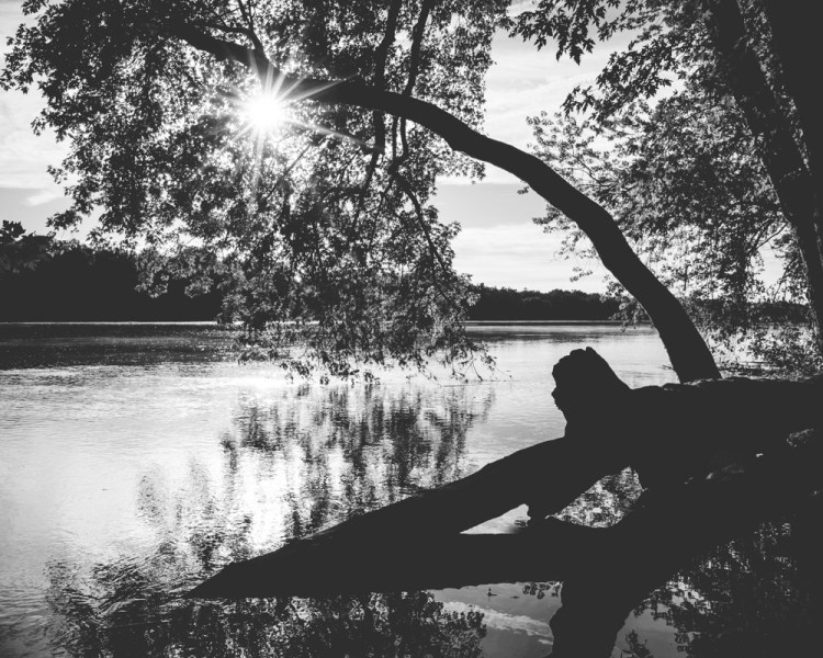 ISO 200 | f/16 | 1/200 | 35mm