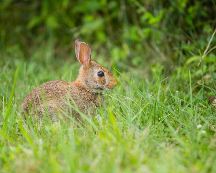 ISO 400 | f/4 | 1/500 | 200mm