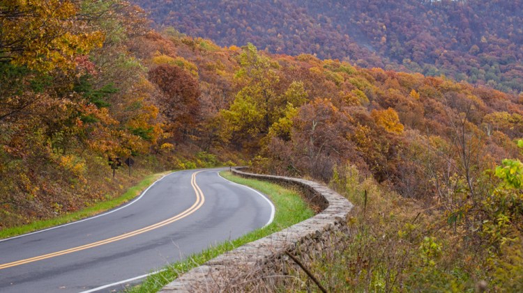 ISO 400| f/8 | 1/200 | 98mm