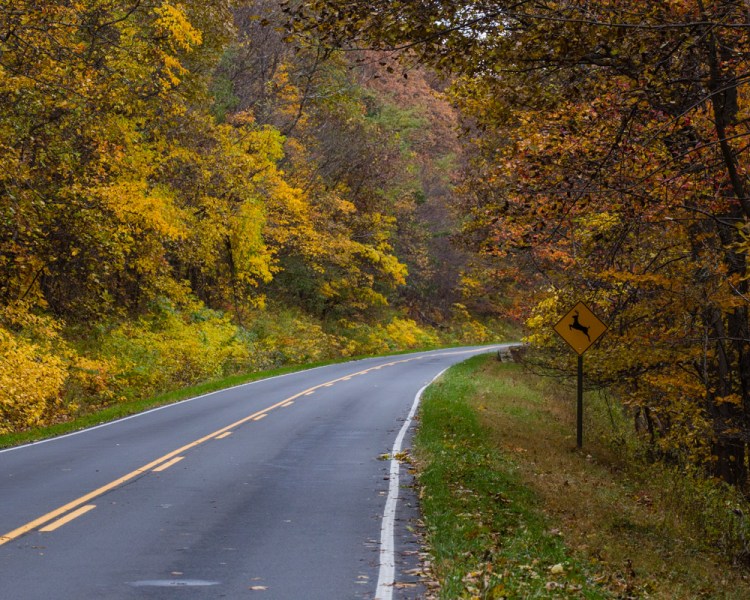 ISO 1600 | f/8 | 1/250 | 113mm