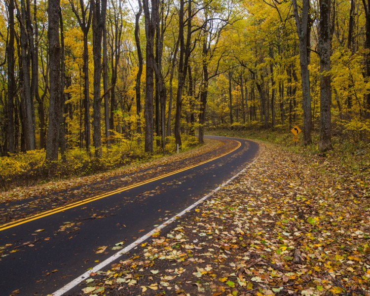 ISO 800| f/8 | 1/50 | 24mm