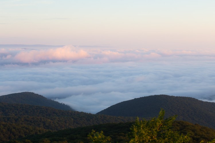 ISO 800 | f/11 | 1/160 | 91mm