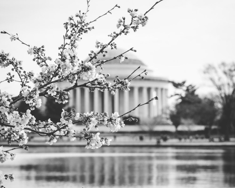 ISO 200 | f/8 | 1/400 | 98mm