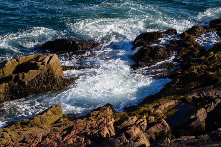 ISO 100 | f/411| 1/100 | 91mm