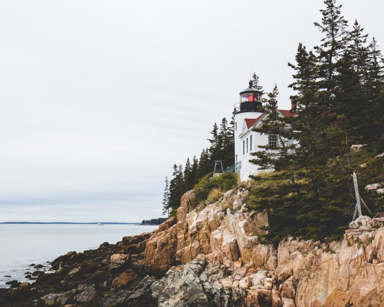 ISO 800 | f/8 | 1/125 | 35mm