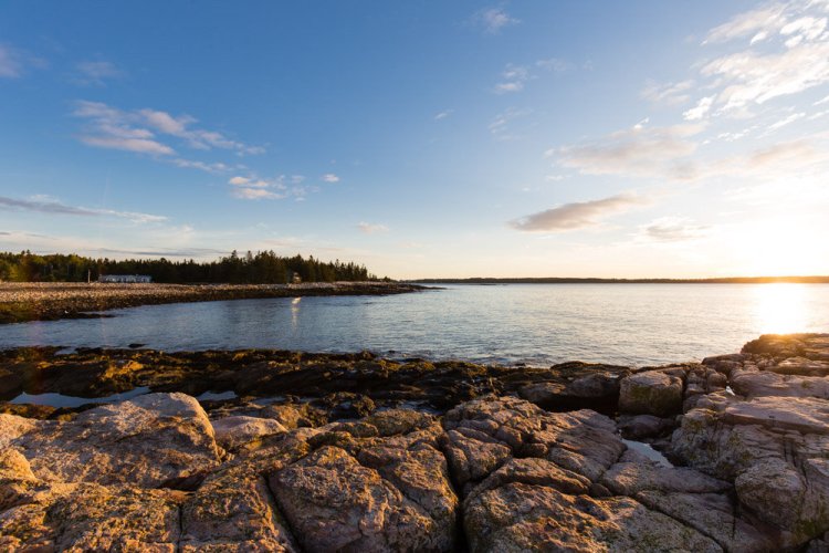 ISO 100 | f/8 | 1/100 | 16mm