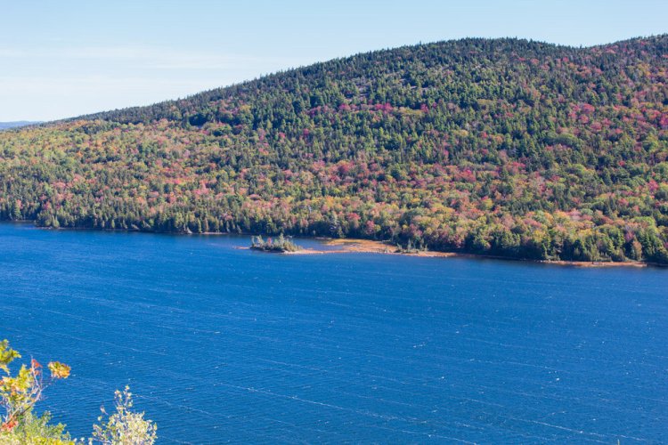 ISO 200 | f/5.6 | 1/320 | 70mm