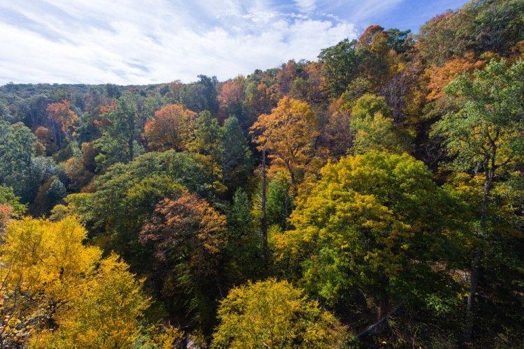 ISO 200 | f/8 | 1/200 | 16mm | Circular Polarizer